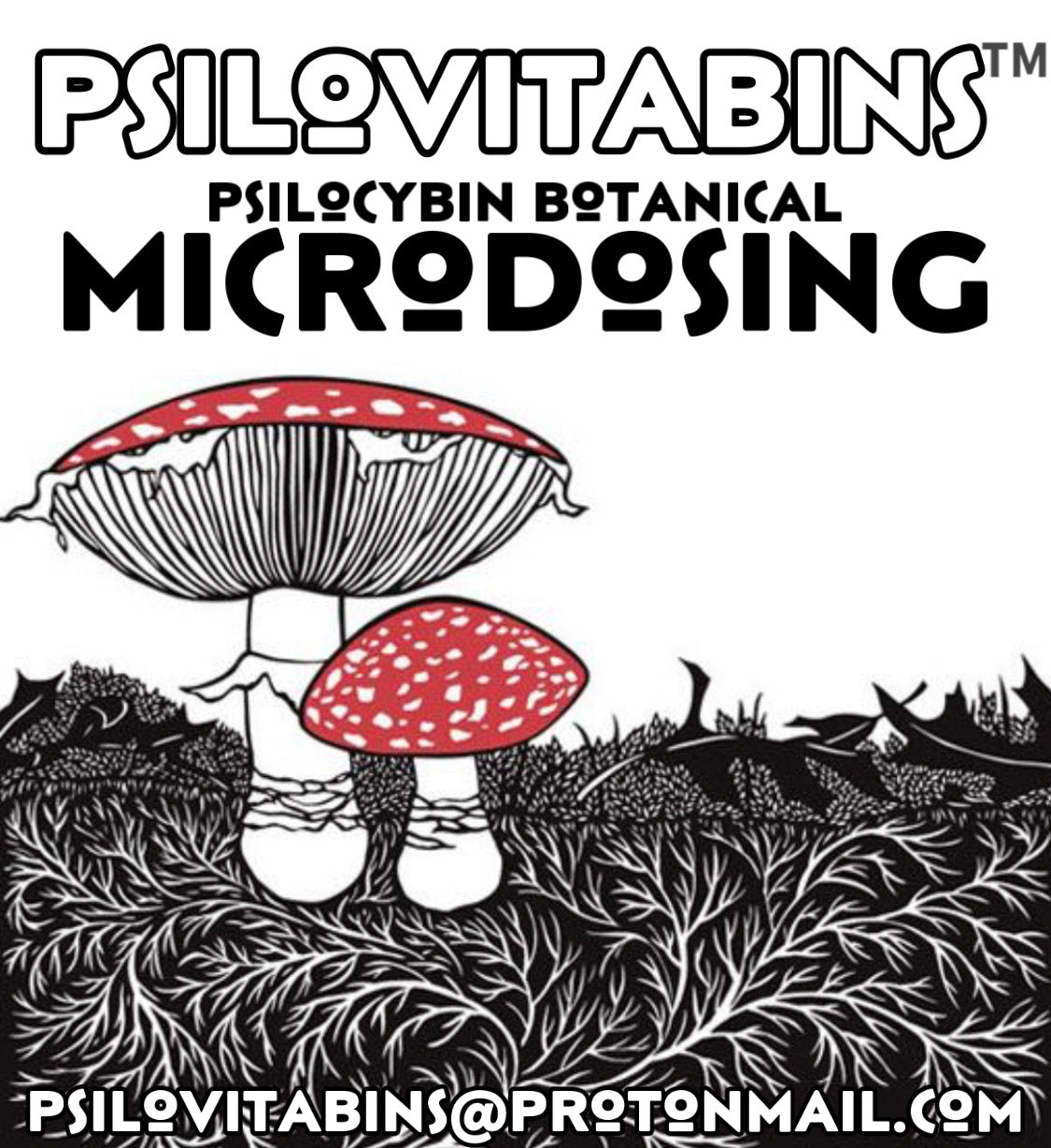 PsiloVitaBins™️                  Botanical Microdosing Capsules