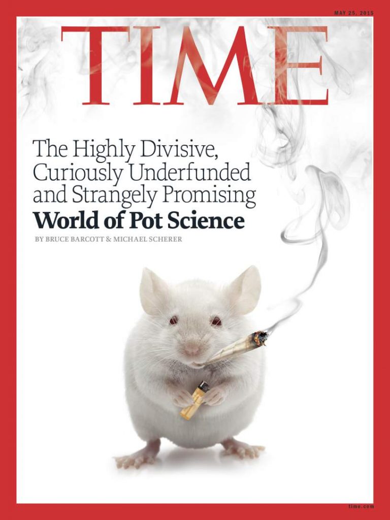 TIME MAGAZINE - The Great Pot Experiment