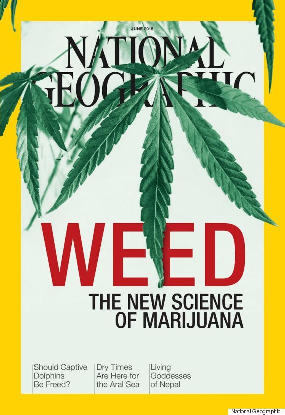 National Geographic - Science Seeks to Unlock Marijuana’s Secrets